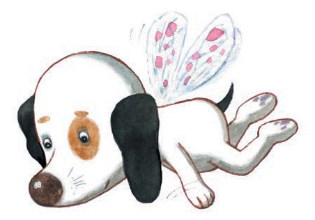 Книгаго: Собачка Соня на даче. Иллюстрация № 1