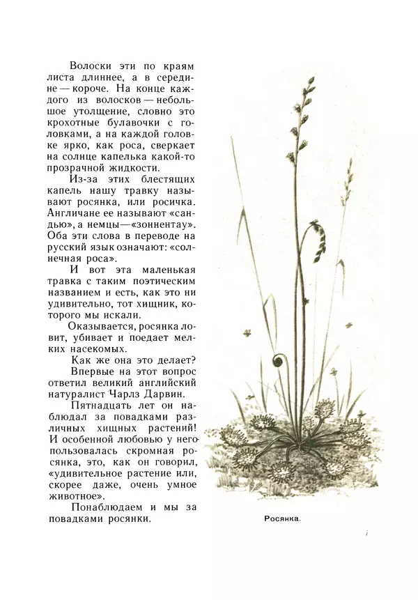 Книгаго: Растения-Хищники. Иллюстрация № 8