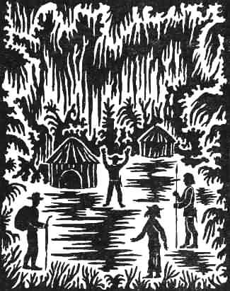 Книгаго: Затерянный мир Кинтана-Роо. Иллюстрация № 1