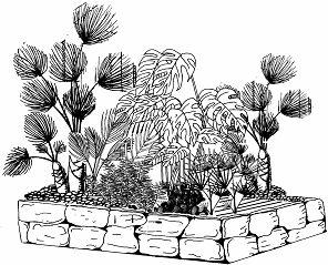 Книгаго: Виды миниатюрных деревьев для вашего сада. Иллюстрация № 2