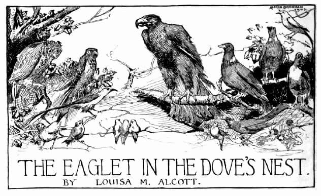 Книгаго: Орел в голубином гнезде. Иллюстрация № 1