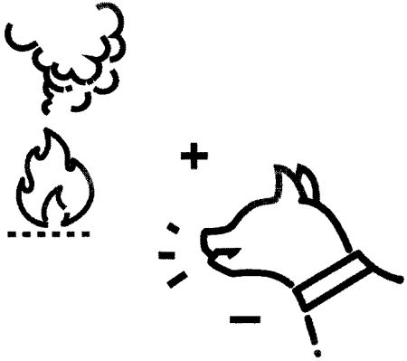 Книгаго: Тренировка собаки оповещению дыма. Иллюстрация № 1