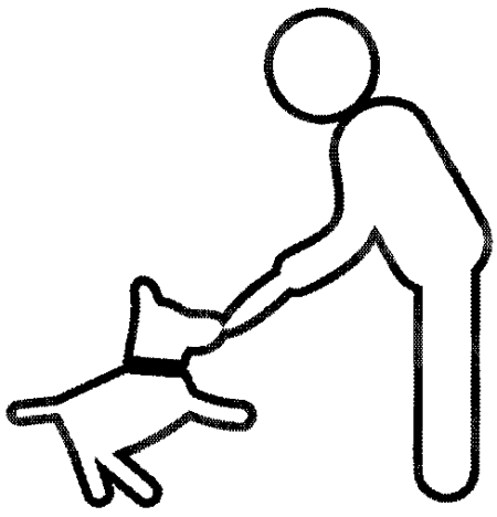 Книгаго: Тренировка собаки оповещению дыма. Иллюстрация № 6