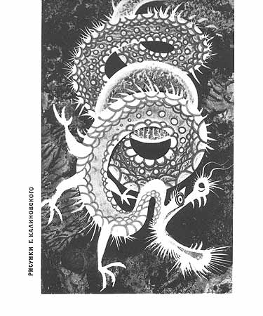 Книгаго: Земляника под снегом. Сказки японских островов (с илл.). Иллюстрация № 1