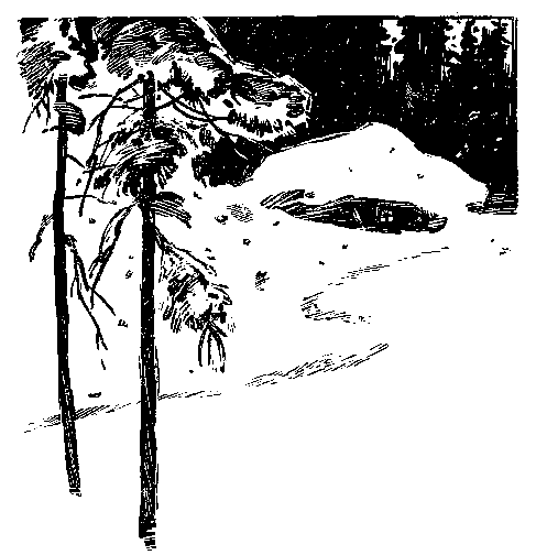 Книгаго: Пашка из Медвежьего лога. Иллюстрация № 3