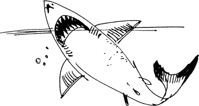 Книгаго: Сборник морских анекдотов. Иллюстрация № 3