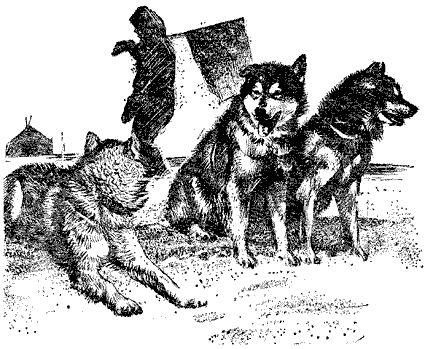 Книгаго: Ездовые собаки-друзья по риску. Иллюстрация № 3