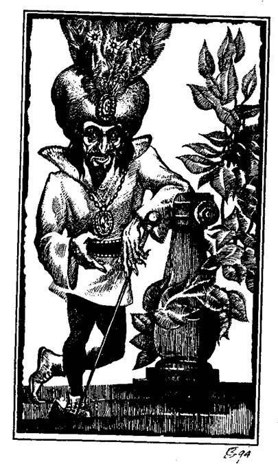 Книгаго: Радамехский карлик. Иллюстрация № 1
