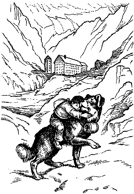 Книгаго: Собака-спасатель: Подготовка и обучение. Иллюстрация № 2