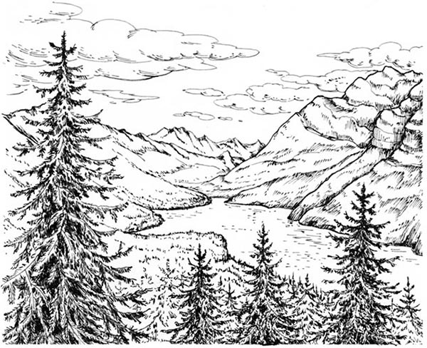 Книгаго: Скауты в лесах. Иллюстрация № 2