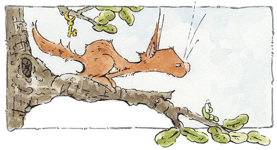 Книгаго: Бельчонок, Медведь и охапка приключений. Иллюстрация № 4