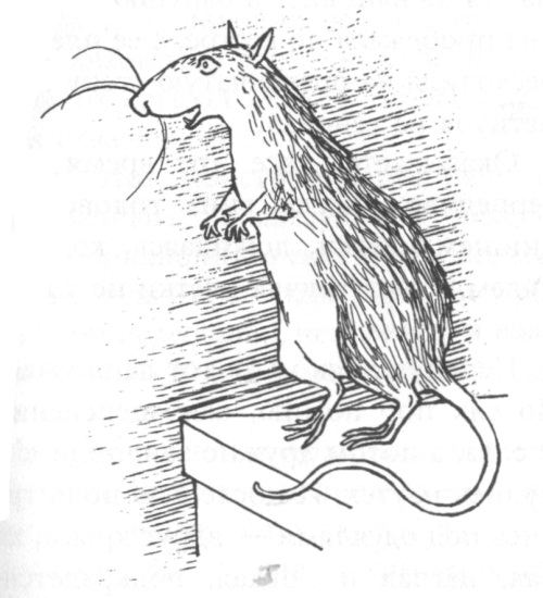Книгаго: Крысявки. Крысиное житие в байках и картинках . Иллюстрация № 1