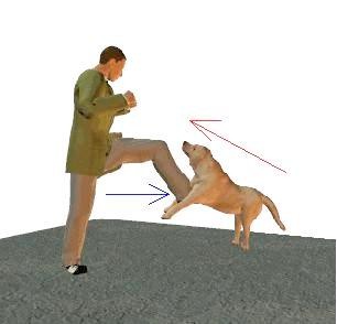 Книгаго: Схватка с собакой. Иллюстрация № 7