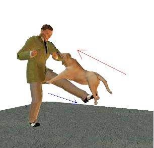 Книгаго: Схватка с собакой. Иллюстрация № 8