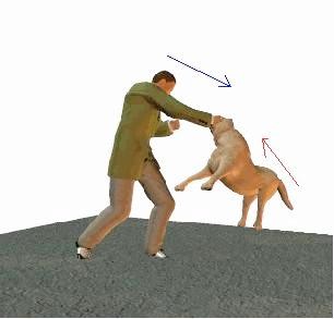 Книгаго: Схватка с собакой. Иллюстрация № 9