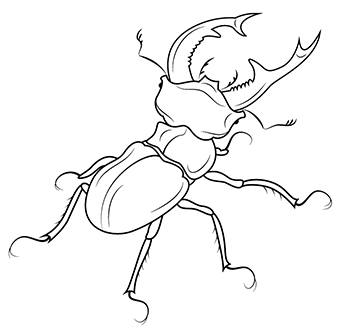Книгаго: Битва жуков. Иллюстрация № 1