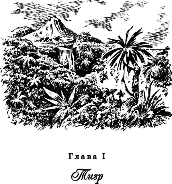 Книгаго: Дитя лесов. Иллюстрация № 3