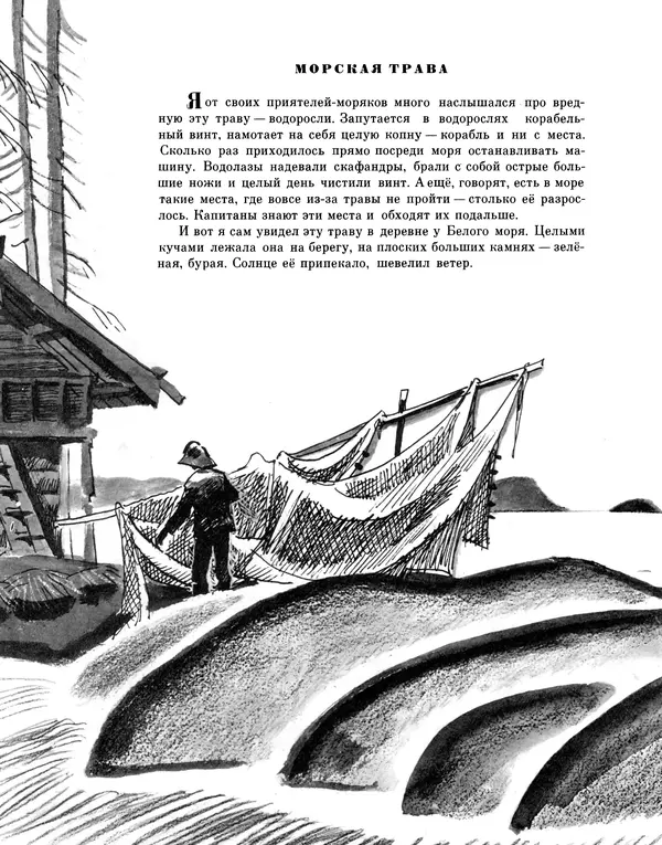 Книгаго: В гостях у моря. Иллюстрация № 6