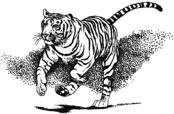 Книгаго: Храмовый тигр. Иллюстрация № 2