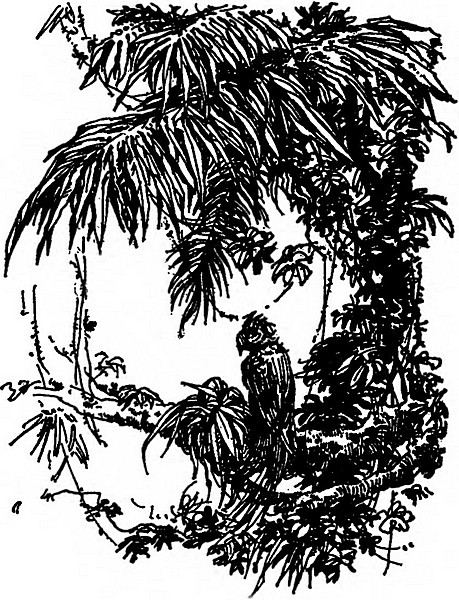 Книгаго: Берег черного дерева и слоновой кости. Корсар Ингольф. Грабители морей. Иллюстрация № 1