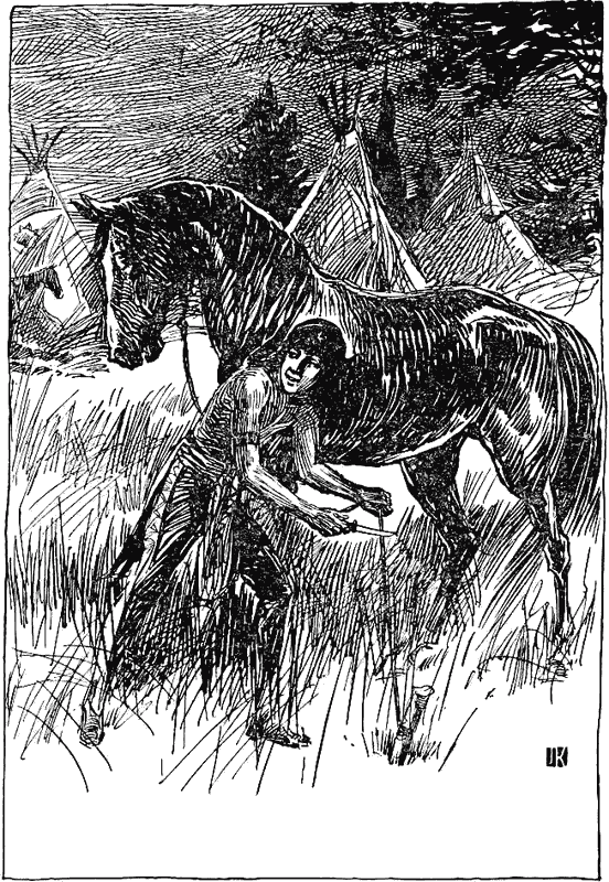 Книгаго: Апок, зазыватель бизонов (др. изд.). Иллюстрация № 1