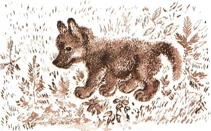 Книгаго: Волчишко. Иллюстрация № 3