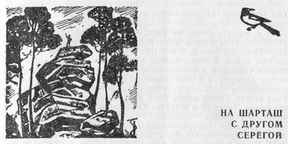 Книгаго: Лагерь на озере чикомасов. Иллюстрация № 2