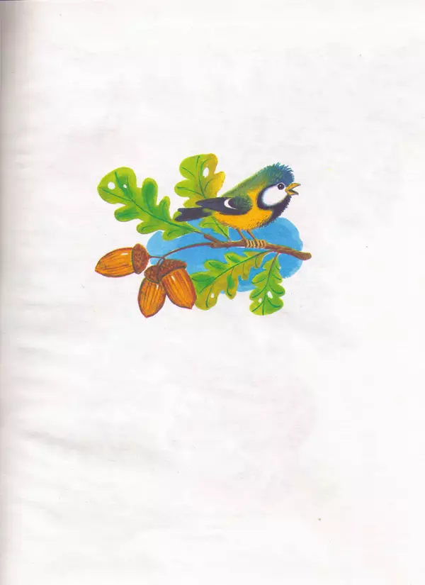 Книгаго: Болтливая черепаха. Иллюстрация № 4