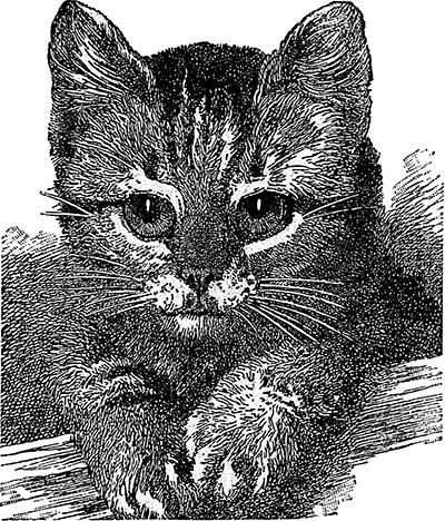 Книгаго: Страшный человек и кот Васька (Рассказы). Иллюстрация № 4