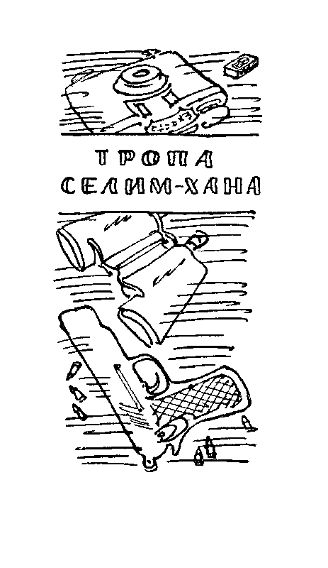 Книгаго: Тропа Селим-хана / сборник. Иллюстрация № 4