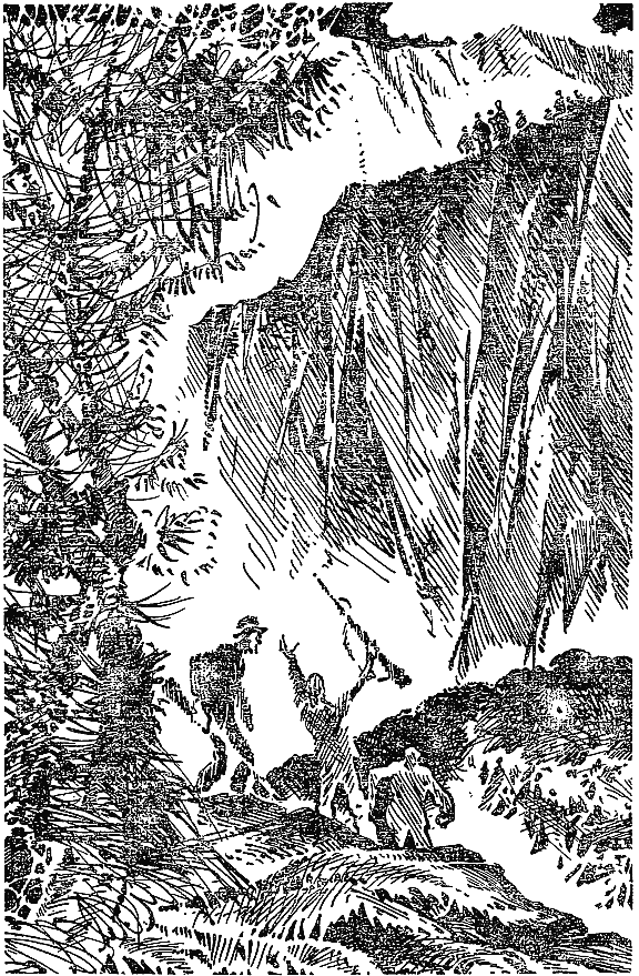 Книгаго: Охотники за растениями. Ползуны по скалам.. Иллюстрация № 4
