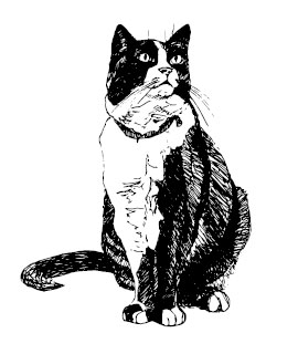 Книгаго: Житейские воззрения кота Мурра. Иллюстрация № 1