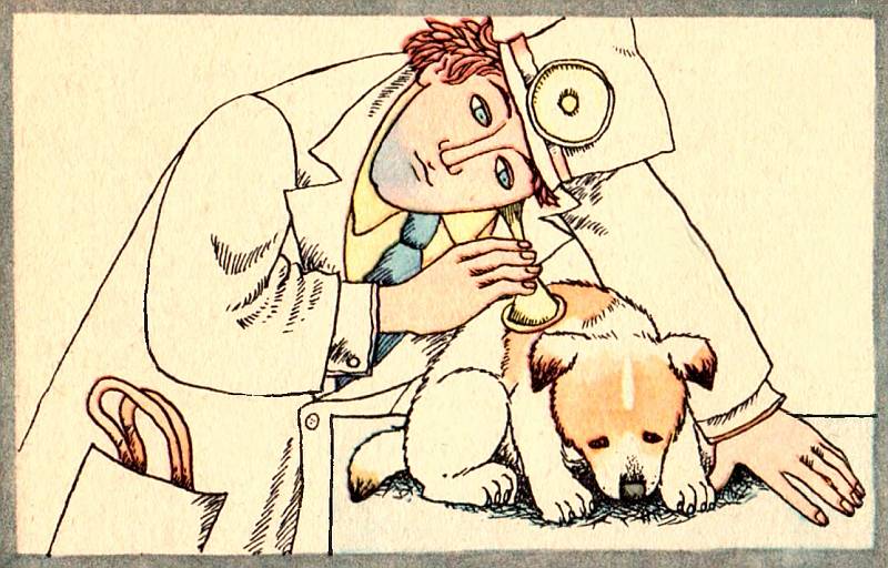 Книгаго: Четвероногий друг. В помощь юному собаководу. Иллюстрация № 21