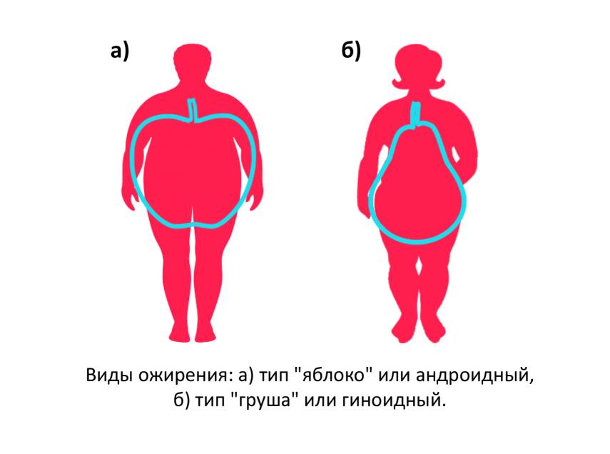Книгаго: Все, что нужно знать об ожирении для эффективного похудения. Иллюстрация № 2