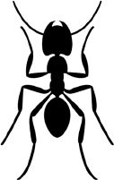 Книгаго: Путешествие к муравьям. Иллюстрация № 1