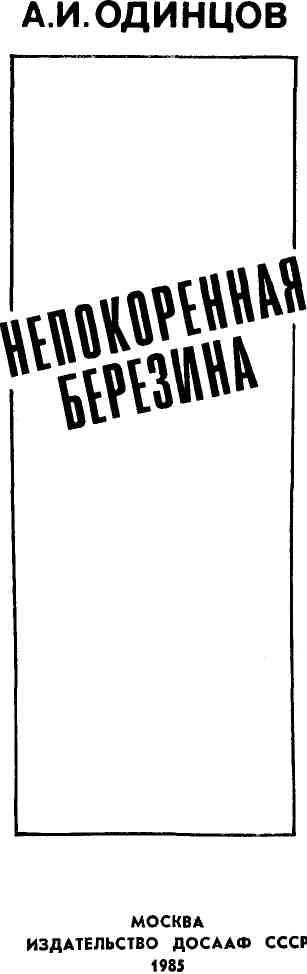 Книгаго: Непокоренная Березина. Иллюстрация № 4