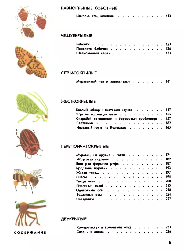 Книгаго: Мир животных. Рассказы о насекомых. Иллюстрация № 5