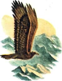 Книгаго: Красный орёл. Иллюстрация № 1