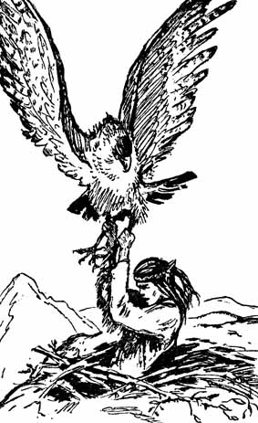 Книгаго: Ловец орлов. Иллюстрация № 1