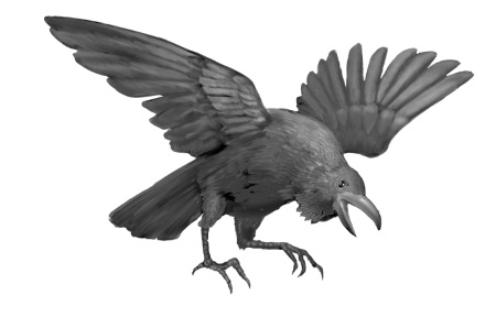 Книгаго: Ворона в сети. Иллюстрация № 2