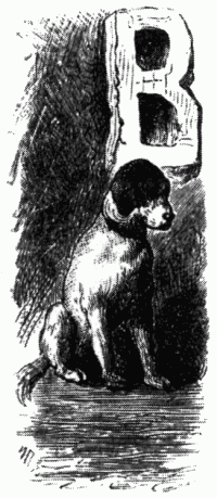 Книгаго: Знаменитые собаки. Иллюстрация № 2