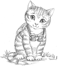 Книгаго: Котёнок Белла, или Любопытный носик. Иллюстрация № 2