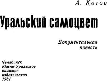 Книгаго: Уральский самоцвет. Иллюстрация № 2