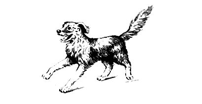 Книгаго: Звездный пес. Иллюстрация № 3