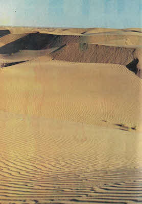 Книгаго: На суше и на море 1989. Иллюстрация № 178