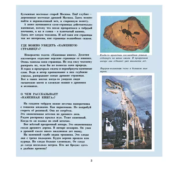 Книгаго: Палеонтология в картинках. Иллюстрация № 6