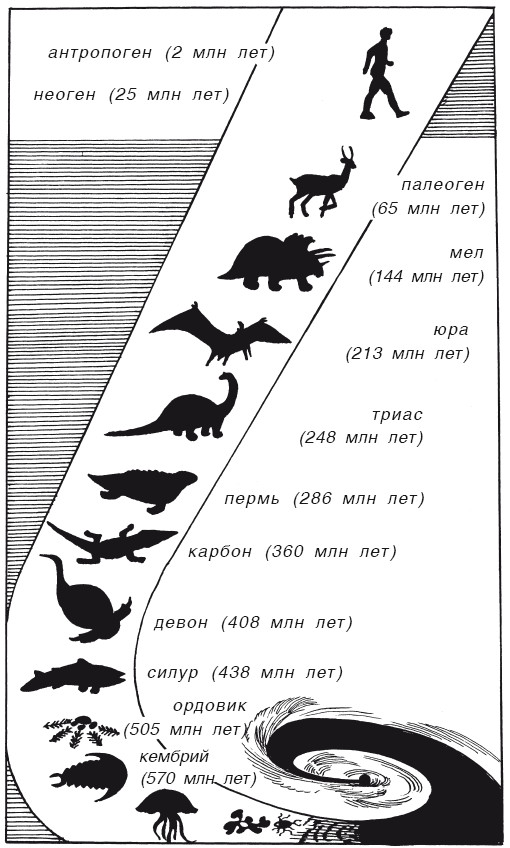 Книгаго: Краткая история динозавров. Иллюстрация № 5