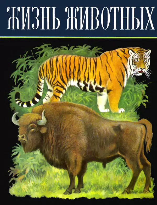 Книгаго: Жизнь животных. Том 6. Млекопитающие, или звери. Иллюстрация № 1