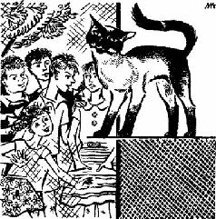 Книгаго: Тайна пропавшей кошки. Иллюстрация № 3
