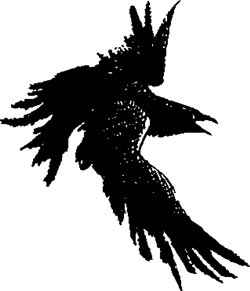 Книгаго: Арчи Грин и заклятие ворона. Иллюстрация № 1
